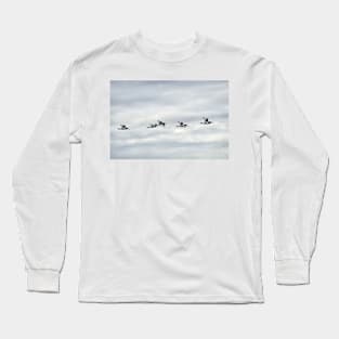 Five Oystercatchers in flight - Isle of Arran, Scotland Long Sleeve T-Shirt